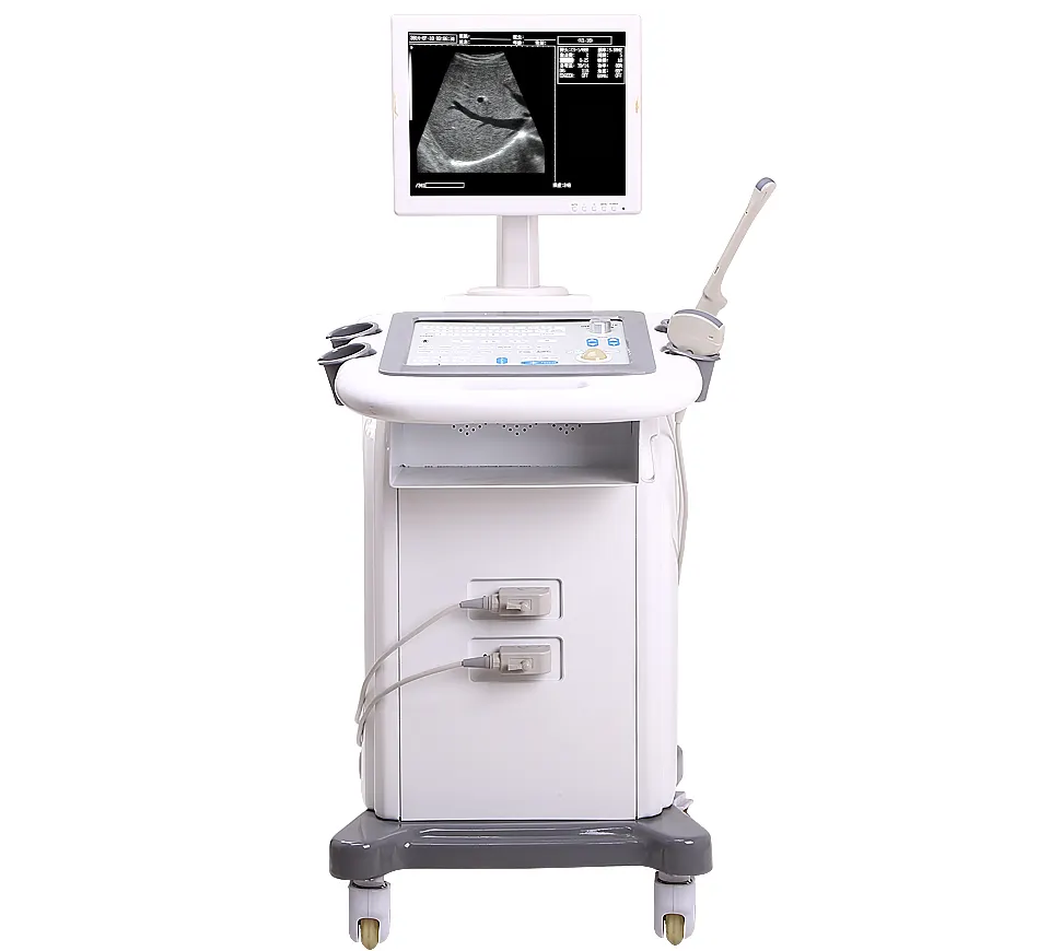 Горячая Распродажа ультразвуковой сканер медицинский черно-белый допплер диагностическая система MachineSIN-UWT06