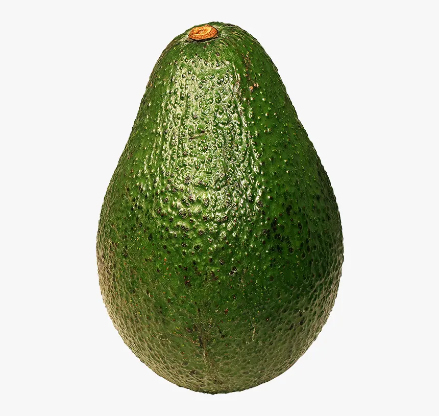 High Quality Cheap Price For Export Wholesale Fresh Avocado Cheap Fresh Avocado Fresh Avocados Fruit