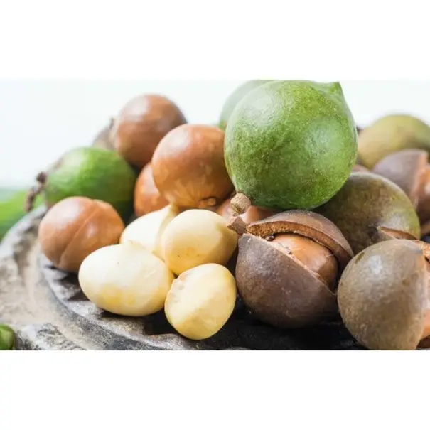 Export Sale Huiles De Macadamia Noix De Macadamia Macadamia Nut Seeds