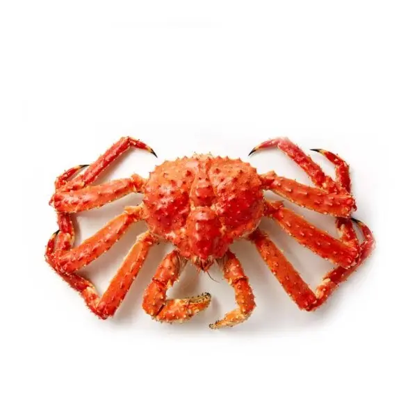 Red King Crab Live and Frozen Red King Crab from RUSSIA 10 Packaging 10 Kg Alive with 24 Shelf Life