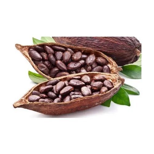 Высокое качество вьетнамские какао-бобы 100% натуральные