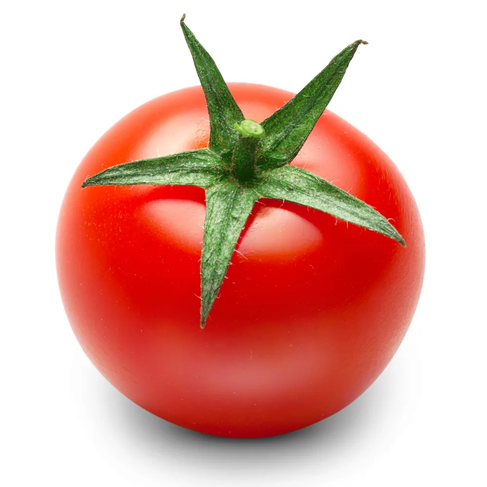 Fresh Tomato with Good Price