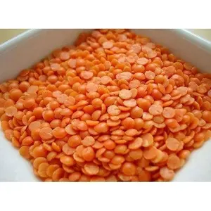 Canadian Red Lentils Available
