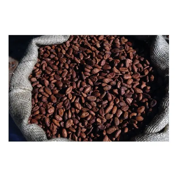 Горячая Распродажа, цена на сушеные какао бобы в сыпучих партиях