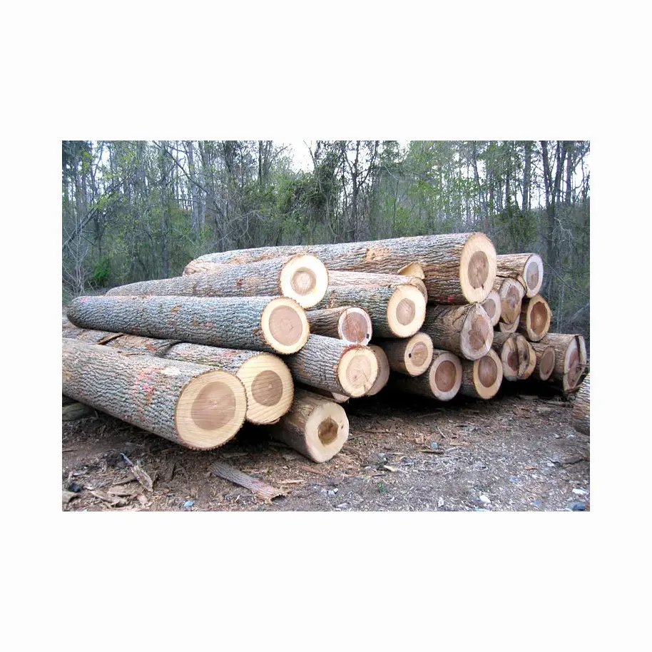 Высокопроизводительный дубовый твердый деревянный круглый бревна/Древесина от Бельгия поставщик Австрия