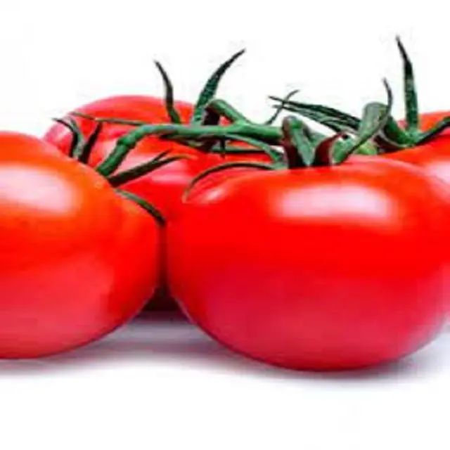 Fresh Plum Tomato Fresh Vegetables Tomatoes For Sale