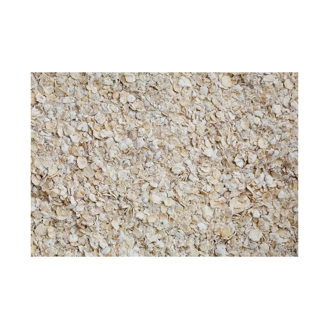 Oats Grains for sale, Husk Oats and Oats Flour, Oats Meal for sale