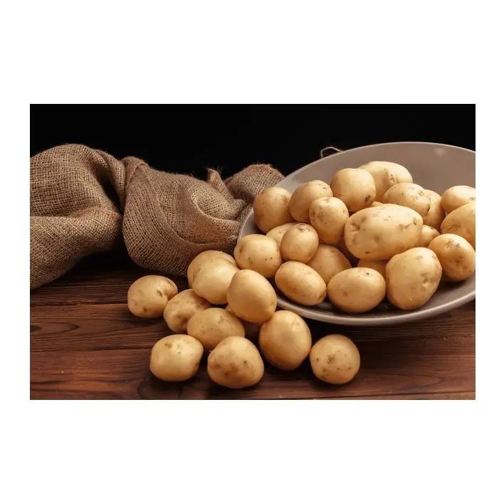 Свежий Овощной картофель Премиум-Качества Оптом по низкой цене