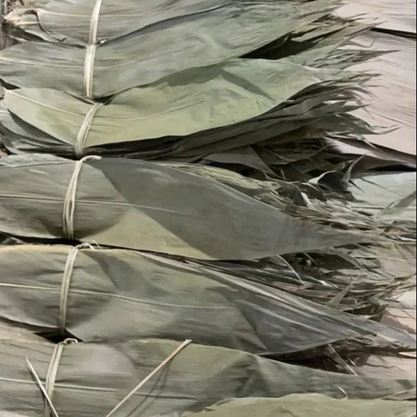 Оптовая продажа сушеных листьев Zongzi, бамбуковые листья, экологически чистый материал большого размера по конкурентоспособной цене во Вьетнаме