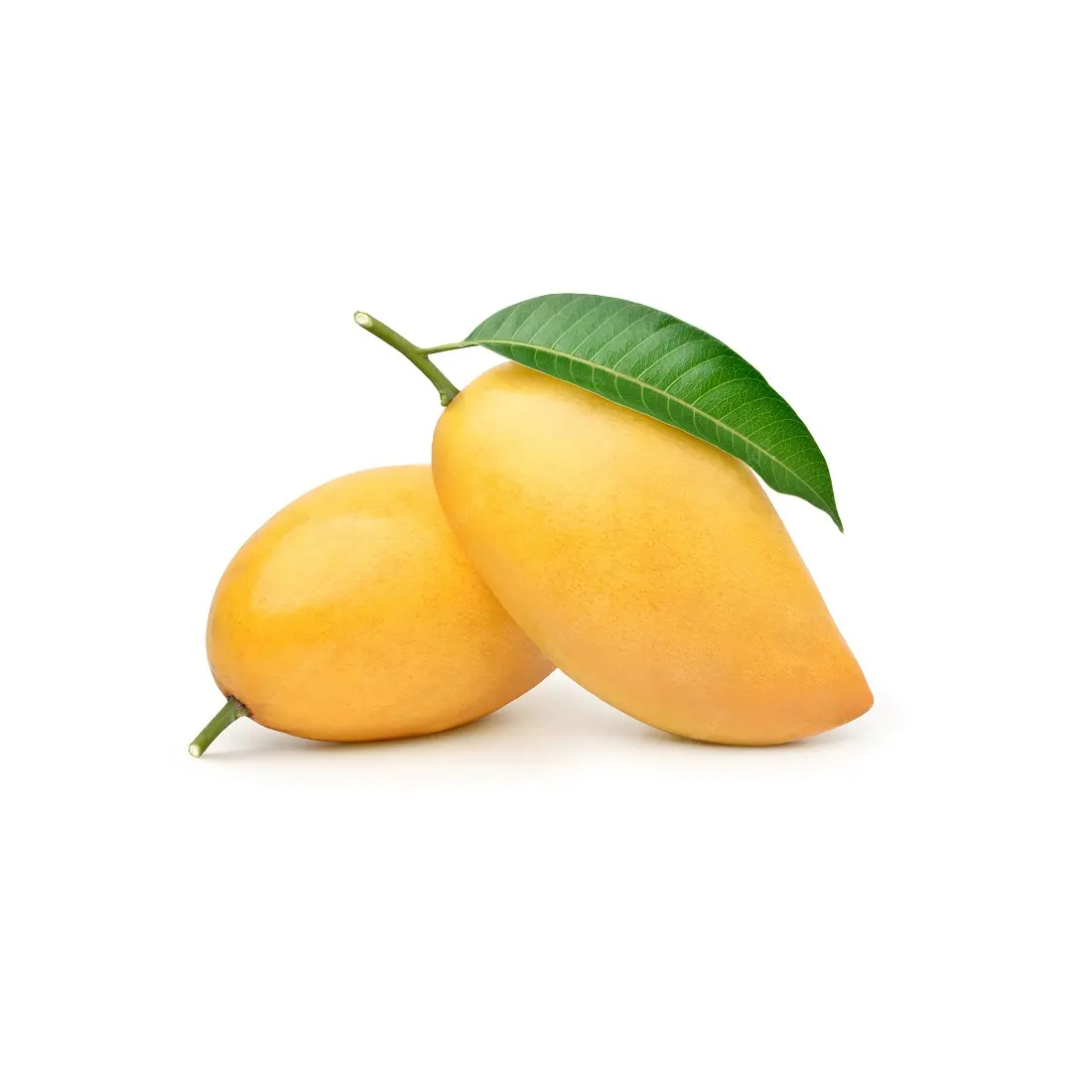 100% Natural Fresh Raw Indian Mango Wholesale Bulk Purchase Sweet Delicious Mango Buy From Indian Manufacturer