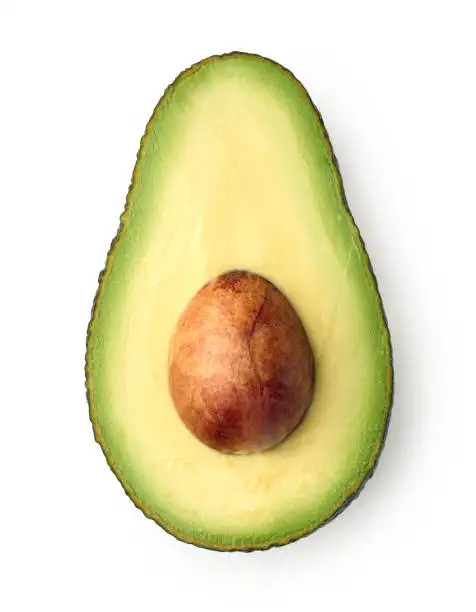 Top Grade Fresh avocado/Fuerte Avocado Exported from Belgium