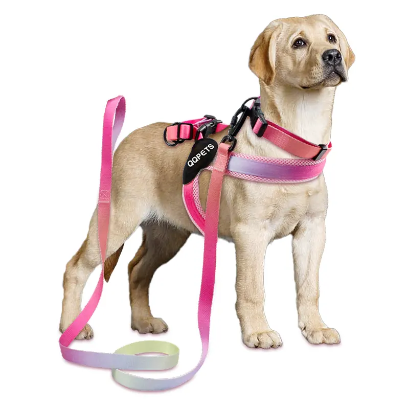 2021 Ins top sale innovative oem custom fashion pet dog cat collars and leashes harness set