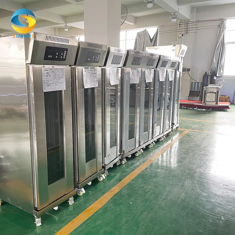 High Quality Professional Electric Oven With Refrigerated Bread Proofer For Sale