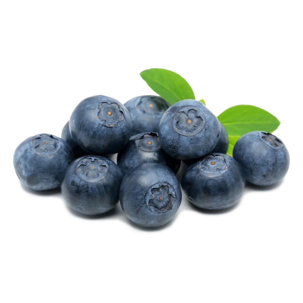 Mexico Grown Blue Berries Blueberry Robinson Fresh MOQ 12x 6 Ounce Quick Delivery in US