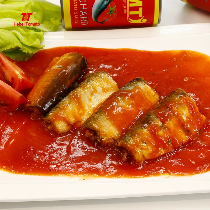 New Season Fresh Recipes Canned Sardine With High Quality Fob China