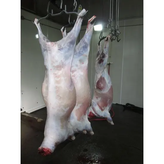 Frozen Halal Lamb Meat and Lamb Carcass . Order Now