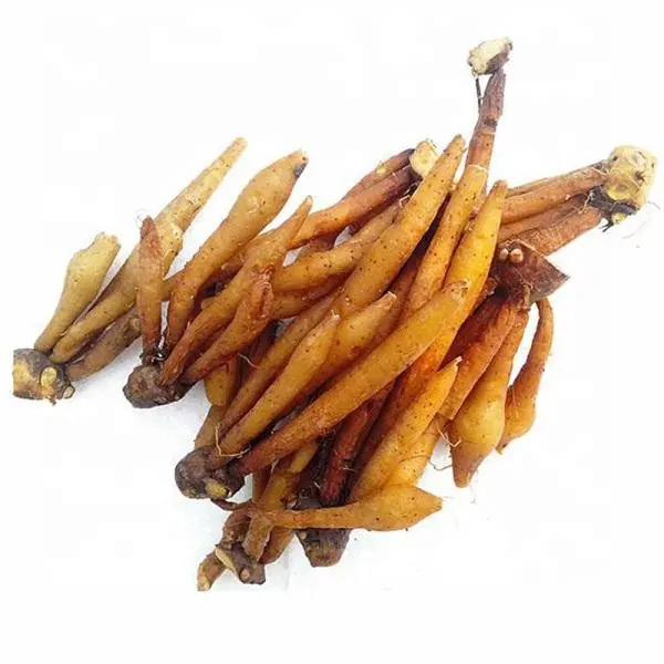 Natural fingerroot extract / finger root extract / finger root powder