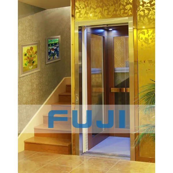 Elevator Lift FUJI New Design Titanium Mirror Cabin Villa Elevator Small Home Lift For Sale