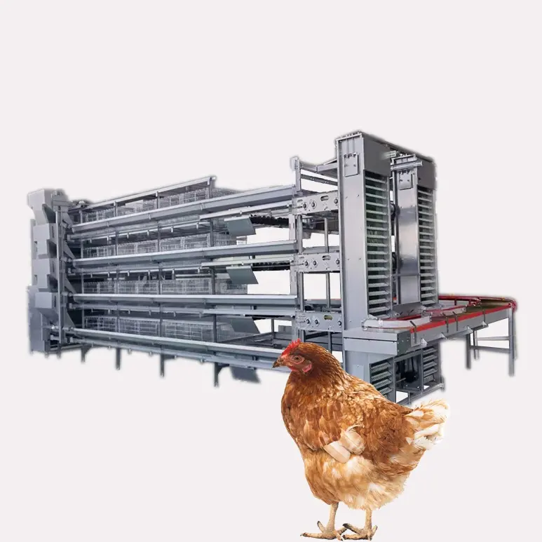 Горячая оцинкованная птица, лучшая птицефабрика, автоматические клетки для высаски цыплят типа H для продажи