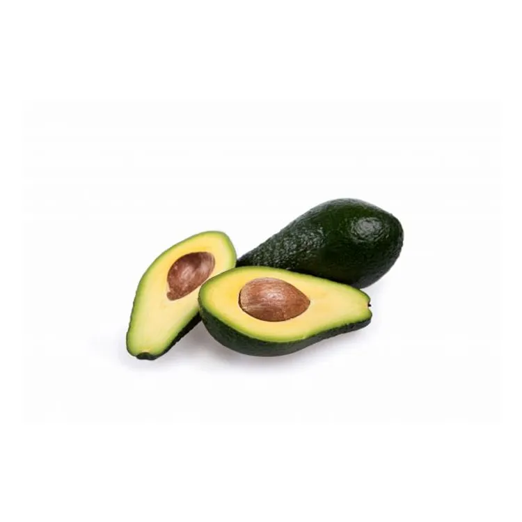 Direct Farm Fresh Supply Avocado at Affordable Price