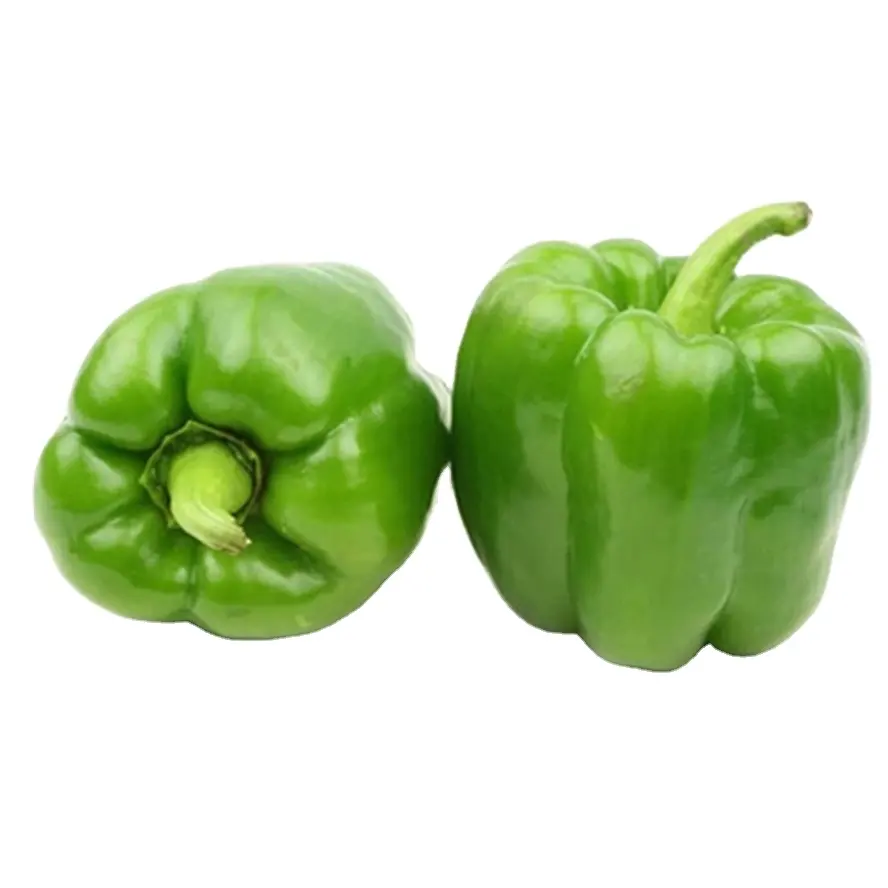 Hybrid F1 green bell sweet pepper seeds for planting