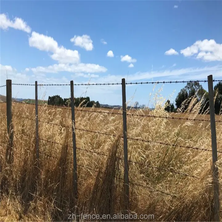 Забор из колючей проволоки, стальной фермерский забор, поплавковая проволока, тюремная сетка