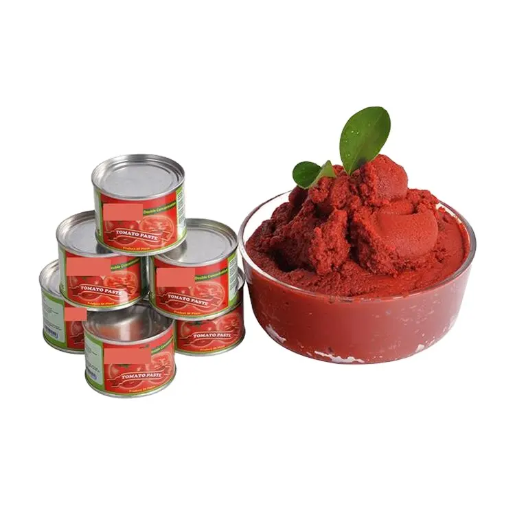 Factory Direct Wholesale Best Price High Quality No Additives Canned Tomato Paste 400g for Sale