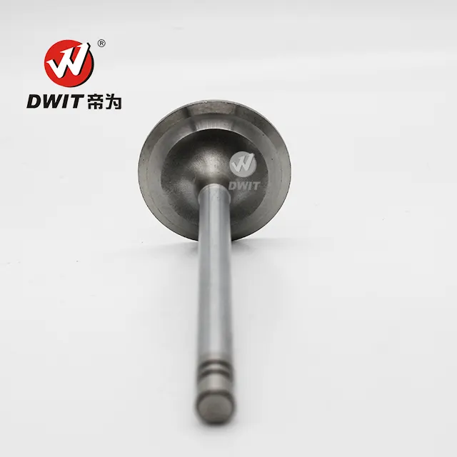 Construction Machinery Engine Spare Parts engine valve 6N9915