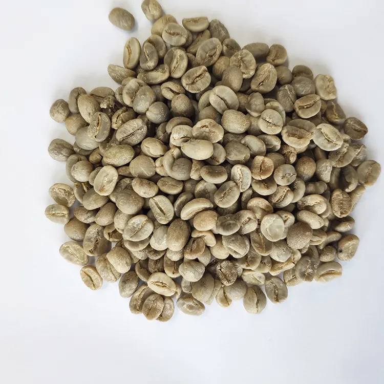 Поставщики кофейных зерен с экспорт арабики зеленые кофейные зерна