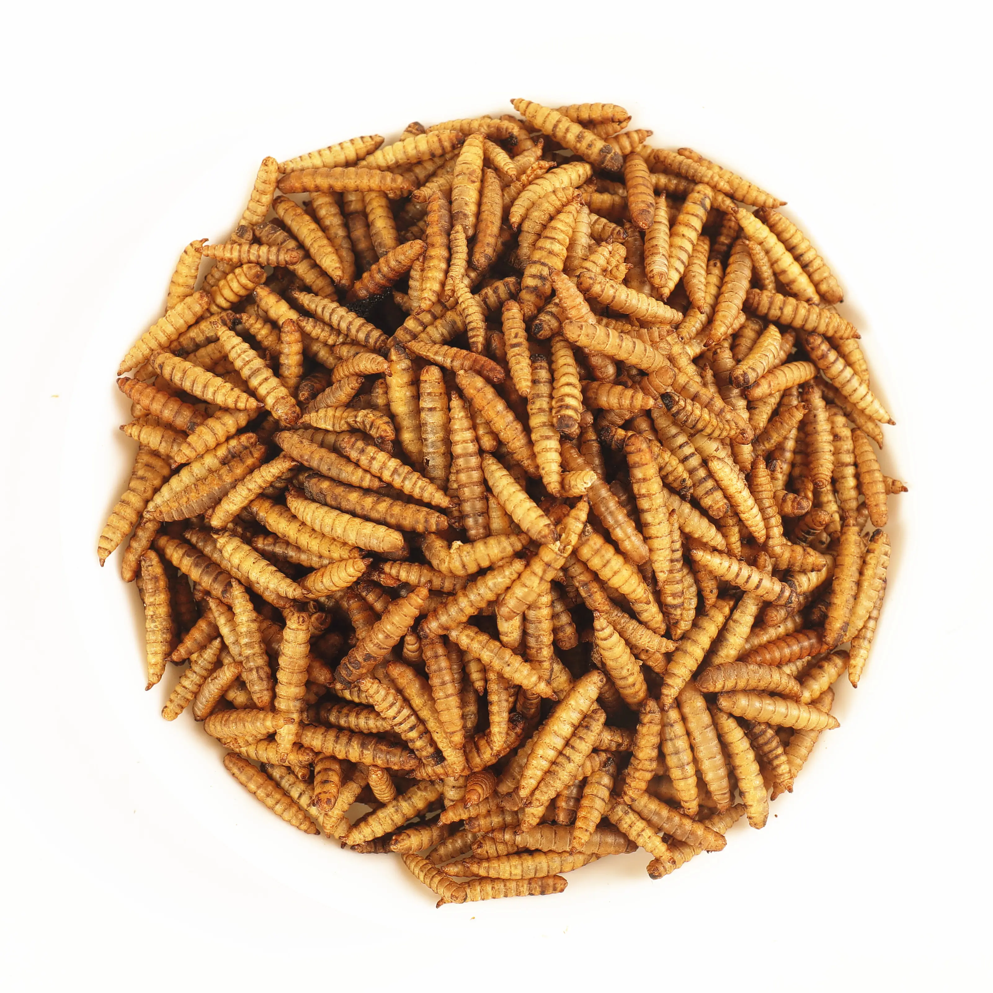 Original Flavor Animal Feed 100% Microwave Black Soldier Fly BSFL Dried Larvae