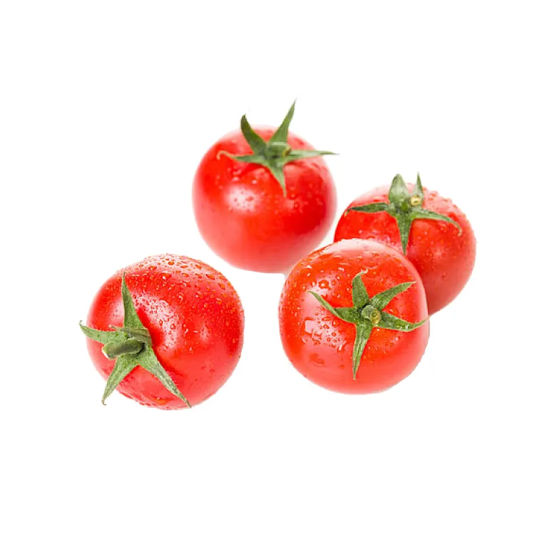 Wholesale Box Style Storage Packaging Organic Tomatoes Fresh Tonfresh Tomato fresh Plum Tomatoes