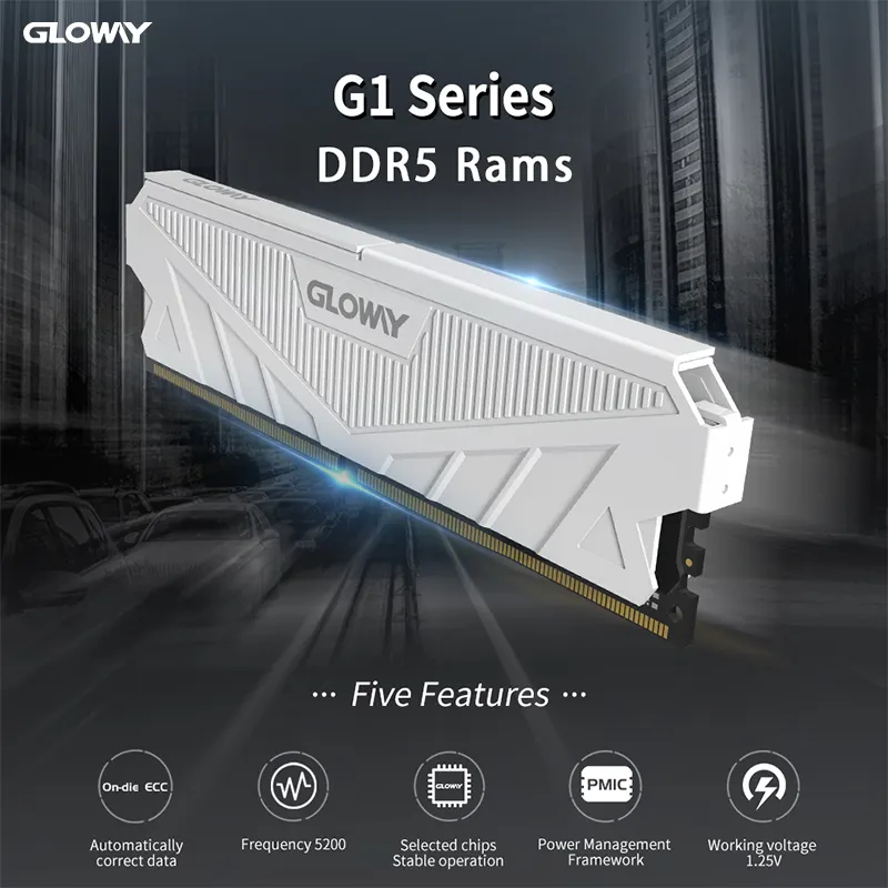 2022 Gloway G1 DDR5 RAM 16GB 8Gx2 Kit 4800MHz 1.1V Intel 600 Series Supports DDR5 Motherboard Use Intel XMP 3.0 PMIC Power Core
