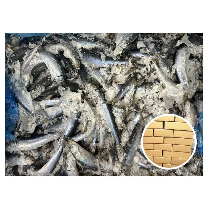 Лидер продаж японская рыба сардины 30-60 г замороженная рыба Сардины