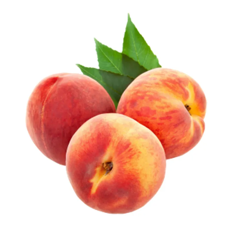 Wholesale Price High Premium Quality Fresh Fruit Sweet Peach