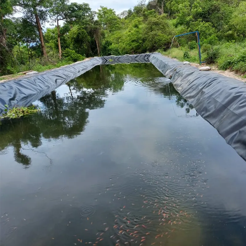 Подкладка для рыбной фермы, пластиковая hdpe геомембрана, аквакультуры, водная плотина