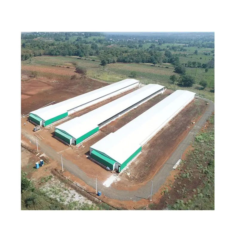 2024 Sanhe легкая стальная конструкция птицефабрика ферма сарай курятник
