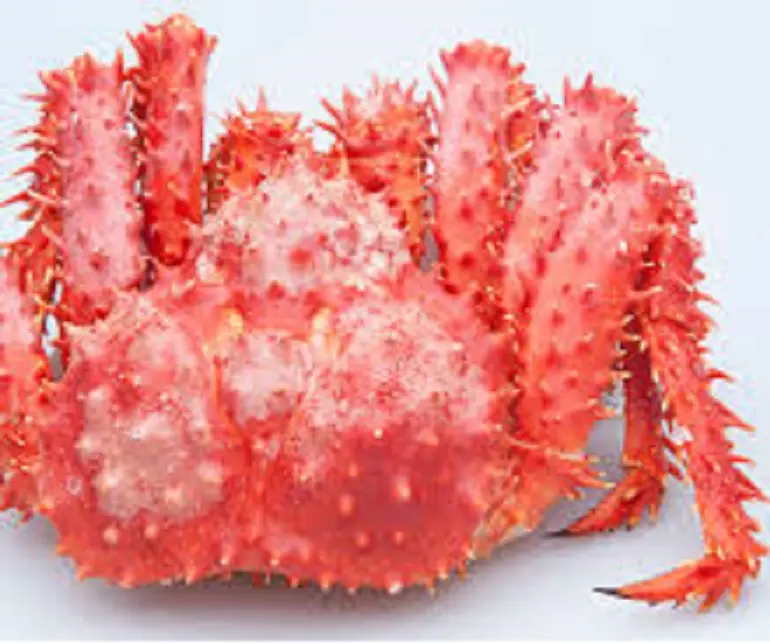 PREMIUM FROZEN KING CRAB 1200GM TO 1400GM