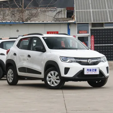 Dongfeng EX1 Electric High Speed suv used Car Offer the subside $ 6,000.00 for each container