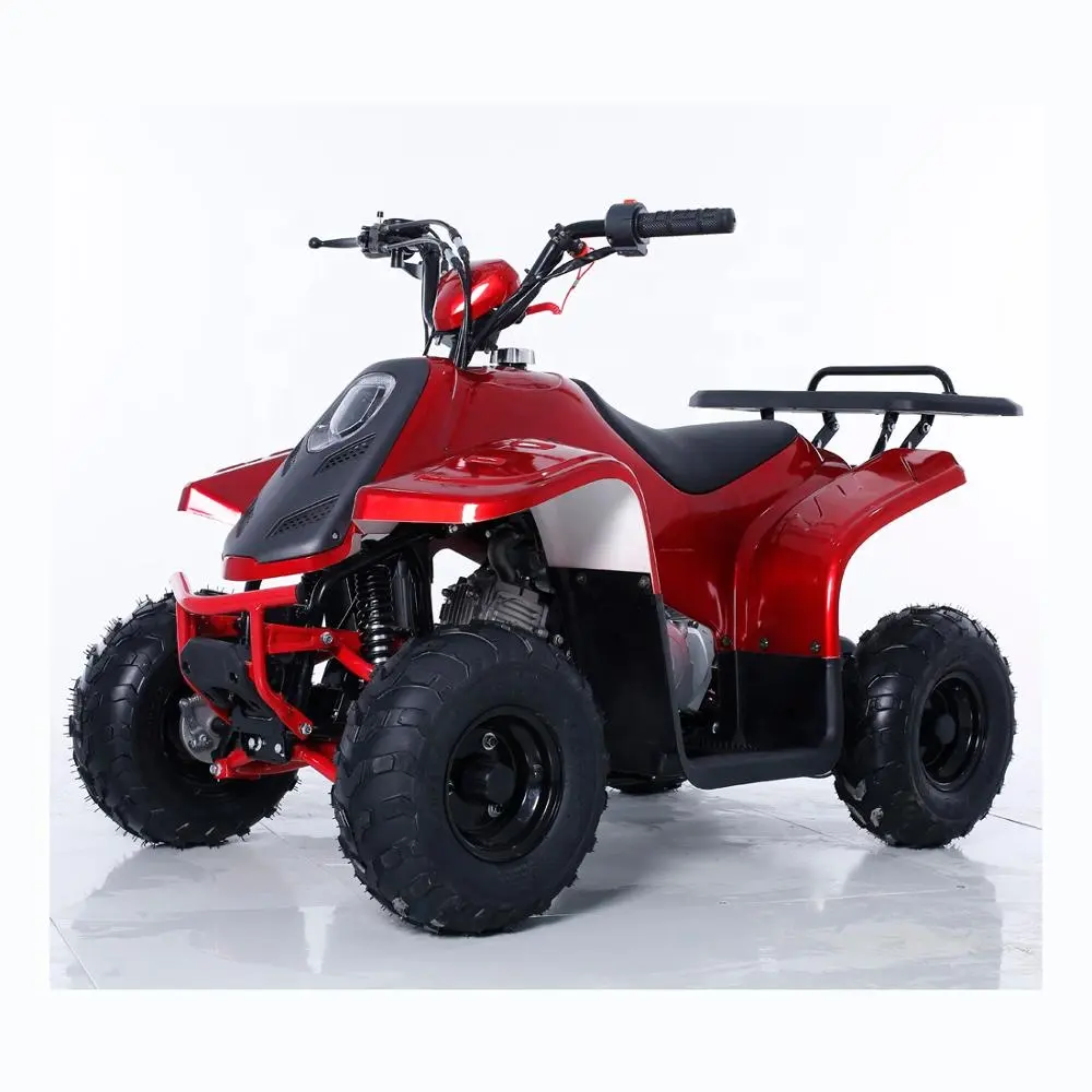 Tao Motor Rock 110cc ATV for sale with EPA CE