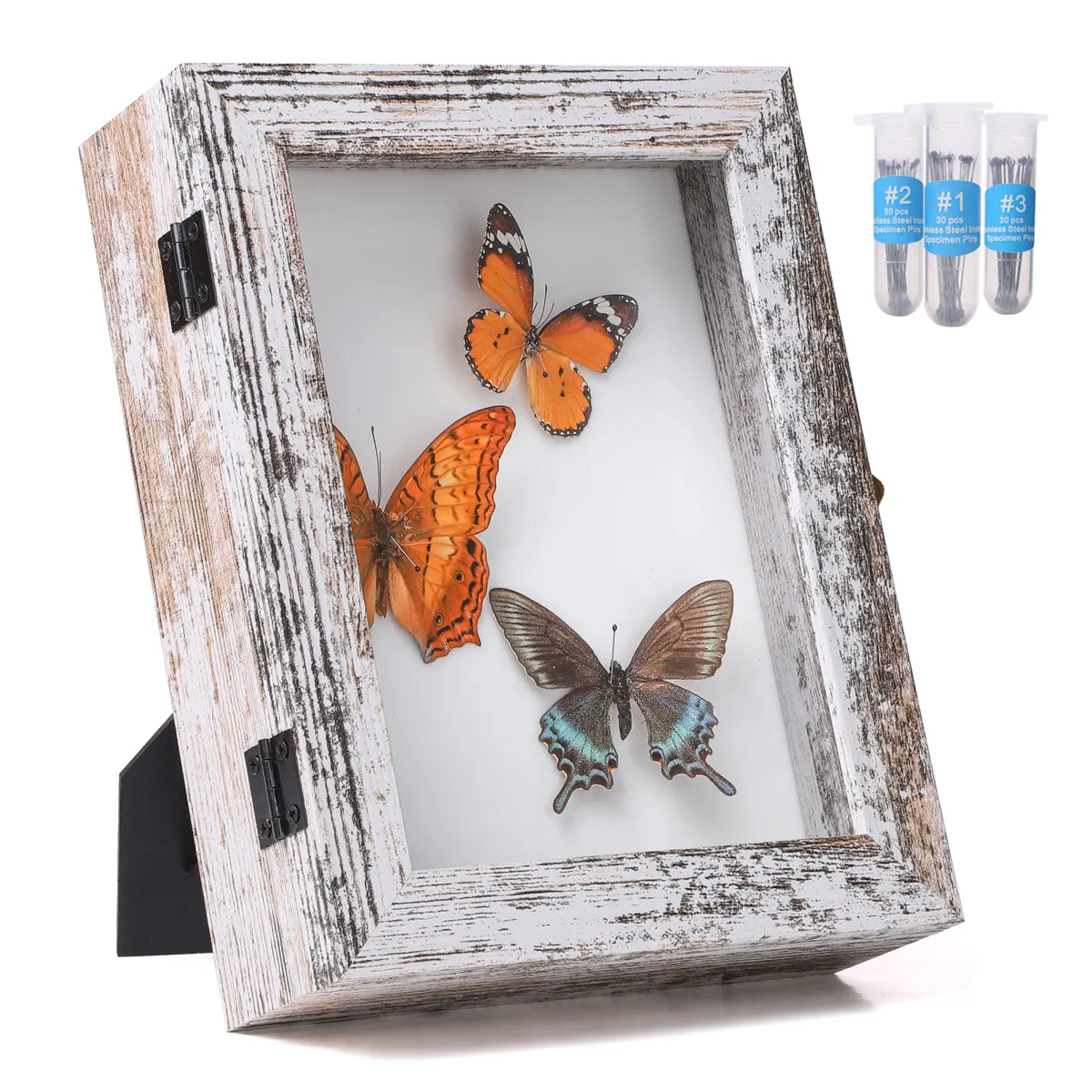 Factory custom exquisite butterfly frame Rustic white butterfly shadow box with insect pin Front opening Specimen Frame