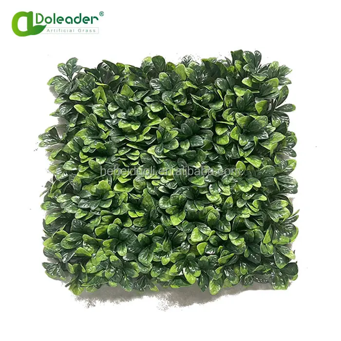 Идеи нового продукта Doleader 2021 искусственной вертикальной садовой пластиковой эвкалиптовой растительной стены для внутреннего наружного декора