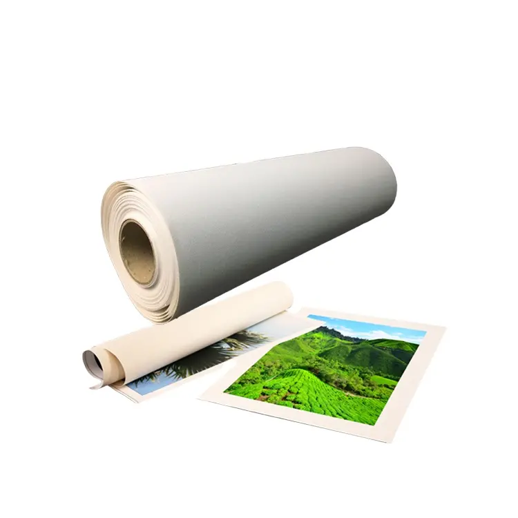 Wide Format 260gsm Inkjet Digital Printing Polyester Matte Canvas Paper Roll for Pigment Inks