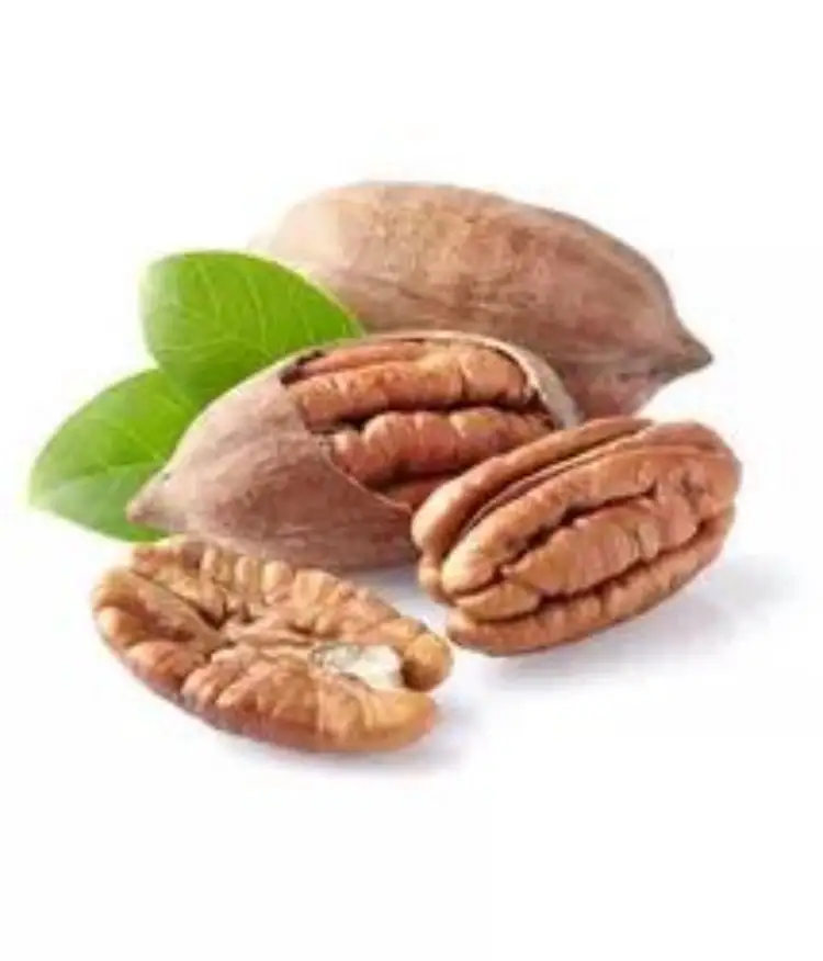 New Crop Raw Pecan Nut Roasted Salted Pecan Nuts With Shell Pecan Nuts Raw