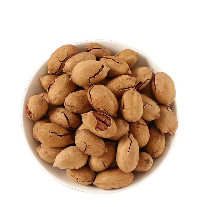 High Quality Fresh  Pecan Nuts South Africa Wholesale Processing