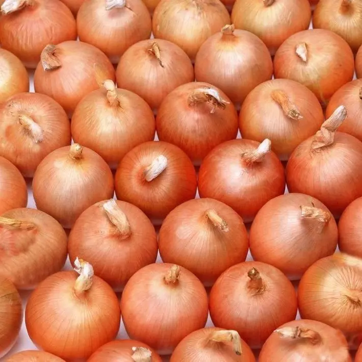 Supply IQF Vegetable Hot Season Good Quality Frozen Onion For Sale