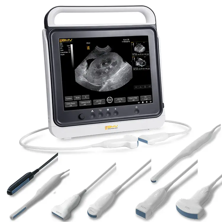 Touch medical ultrasound machine PS Mindray DP50 B&W ultrasound scanner portable Mindray ultrasound price