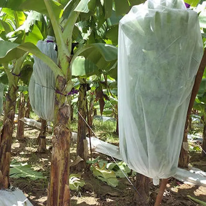 Nonwoven Fabric Fruit Cover Bag Non Woven Fabric For Plant Protective Bag Banana Plant Protection Cover