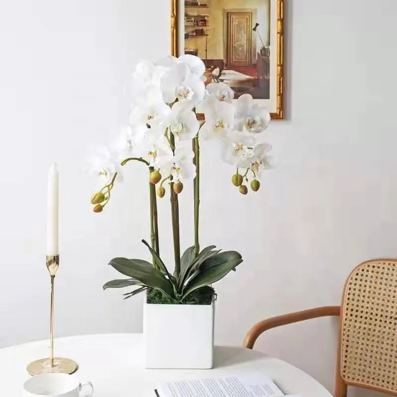 Украшение Таиланд Настоящее прикосновение белый фиолетовый искусственный шелк фаленопсис Бабочка Цветок Искусственные растения орхидеи с вазой для горшка