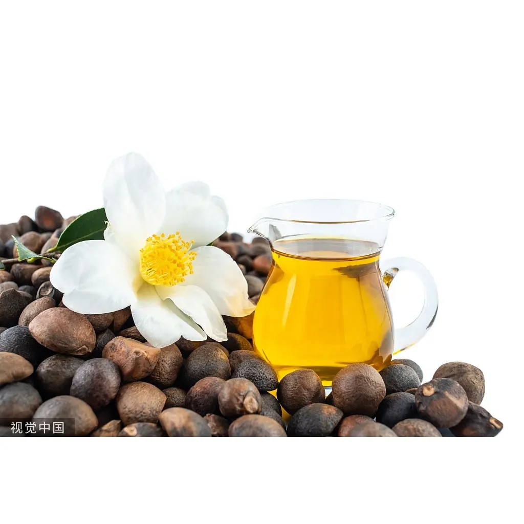 OEM/ODM Service for Edible Camellia Seed Oil for Cooking 100% Pure Top Factory Camellia Oleifera Seed Oil Tsubaki Cold Pressed