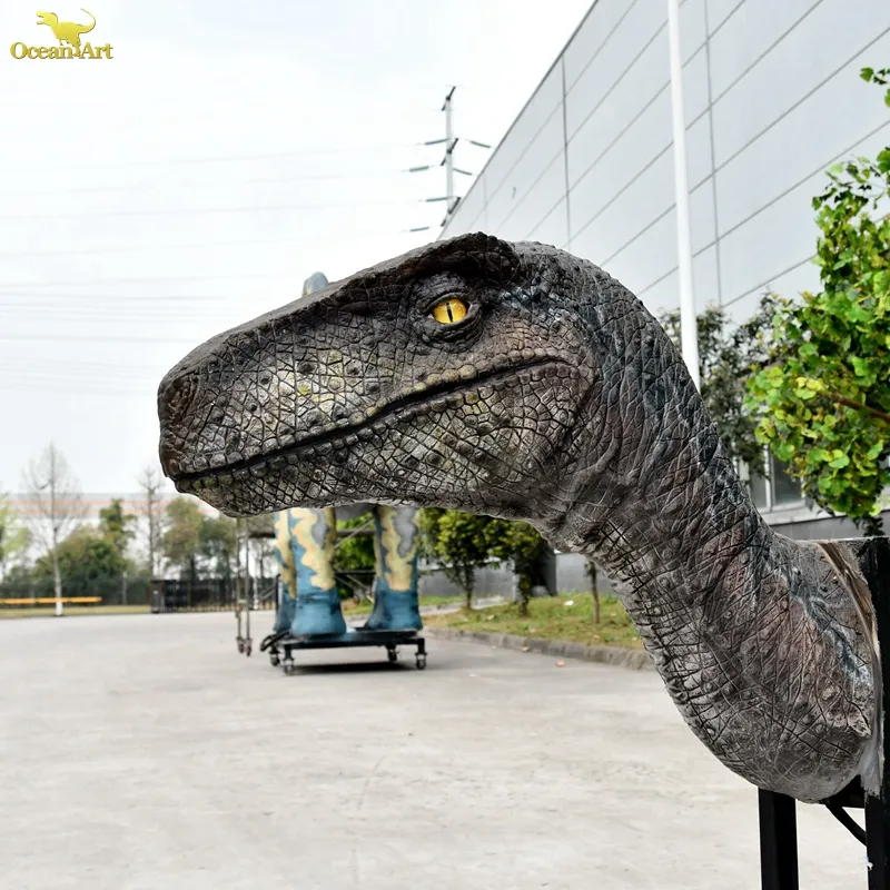 best realistic Velociraptor head life size fiberglass dinosaur head